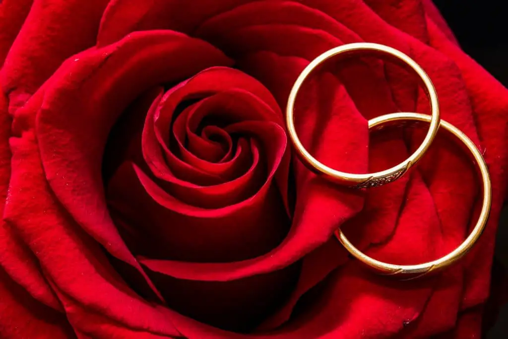 Choosing a Jeweler for Your Engagement Ring Repairs