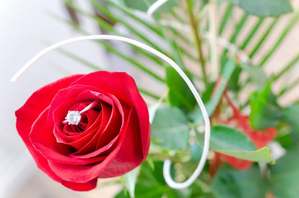 Must-Read Tips for Proposing with an Engagement Ring on Valentine’s Day